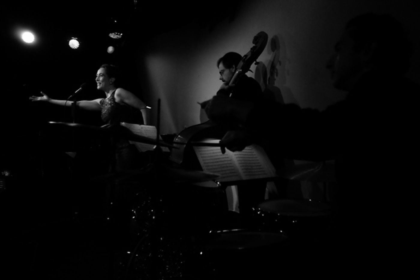 Photo Flash: Melinda Hughes Returned To The Metropolitan Room In CHEERS DARLING  Image