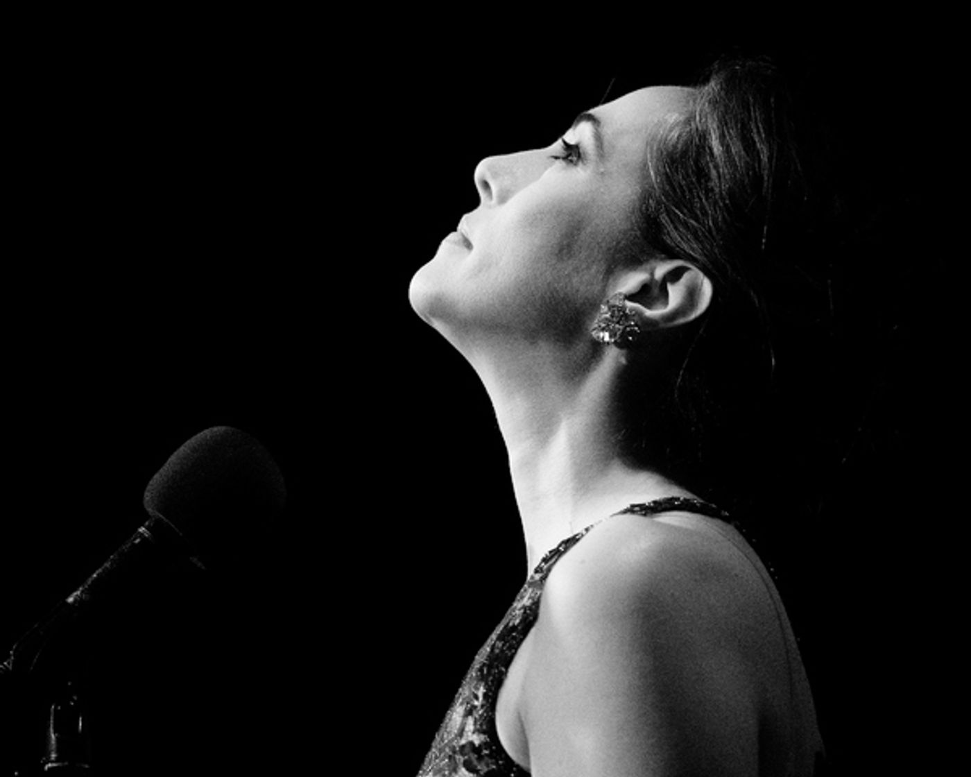 Photo Flash: Melinda Hughes Returned To The Metropolitan Room In CHEERS DARLING  Image