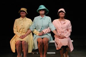 Beth Hogan, Diana Cignoni and Sheelagh Cullen
Photo by Enci Box @ BroadwayWorld Beth Hogan, Diana Cignoni and Sheelagh Cullen
Photo by Enci Box Photo