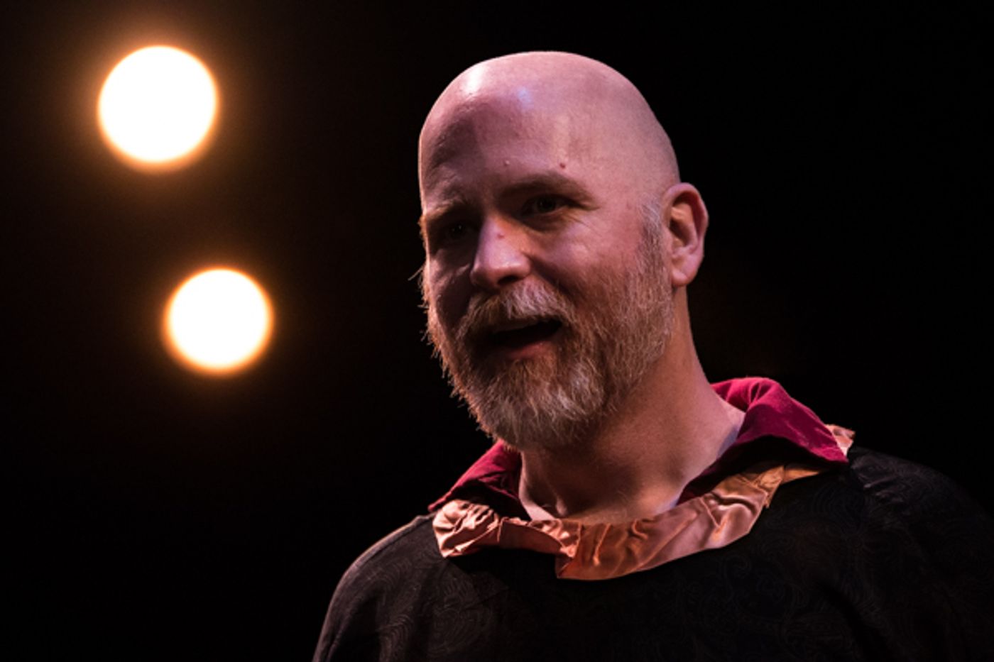 Photo Coverage: First Look at SRO's THE LION IN WINTER  Image