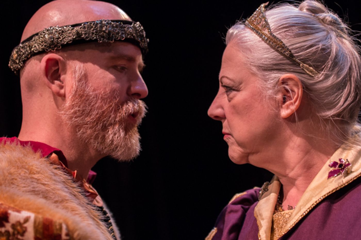 Photo Coverage: First Look at SRO's THE LION IN WINTER  Image