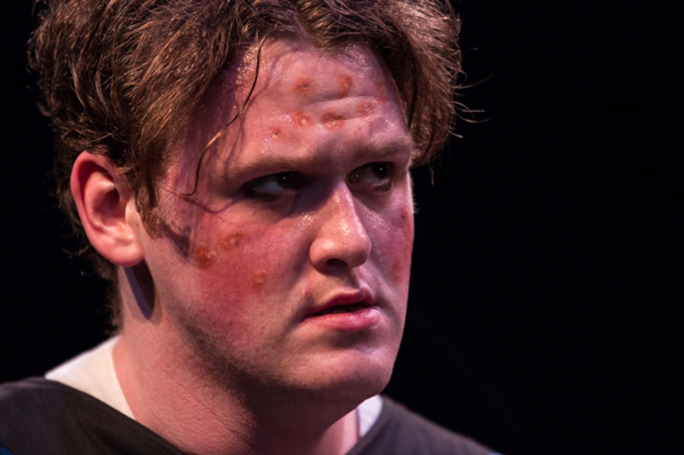 Photo Coverage: First Look at SRO's THE LION IN WINTER  Image