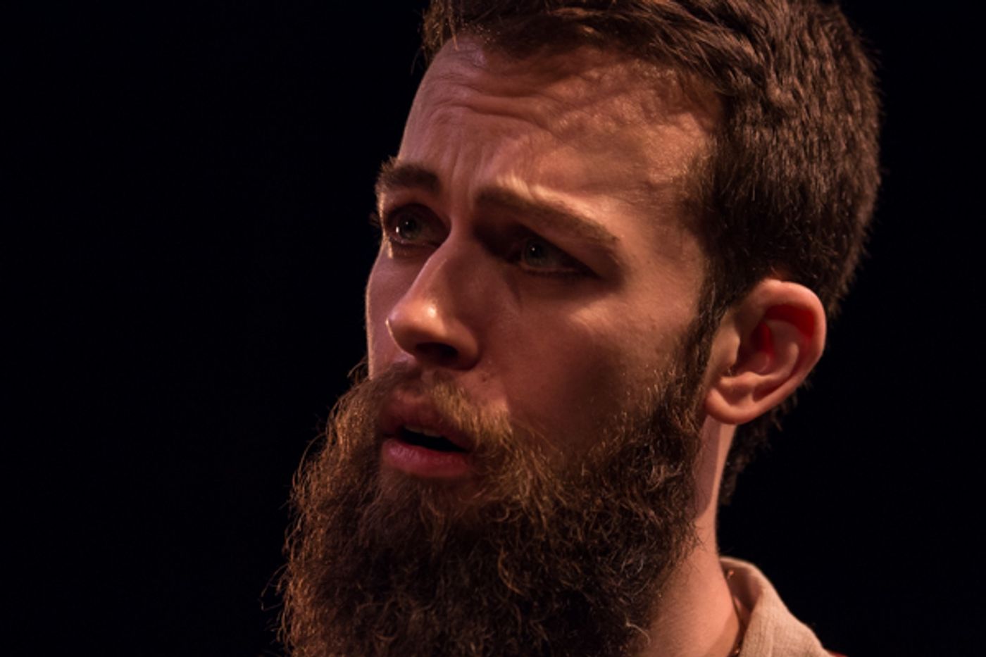 Photo Coverage: First Look at SRO's THE LION IN WINTER  Image