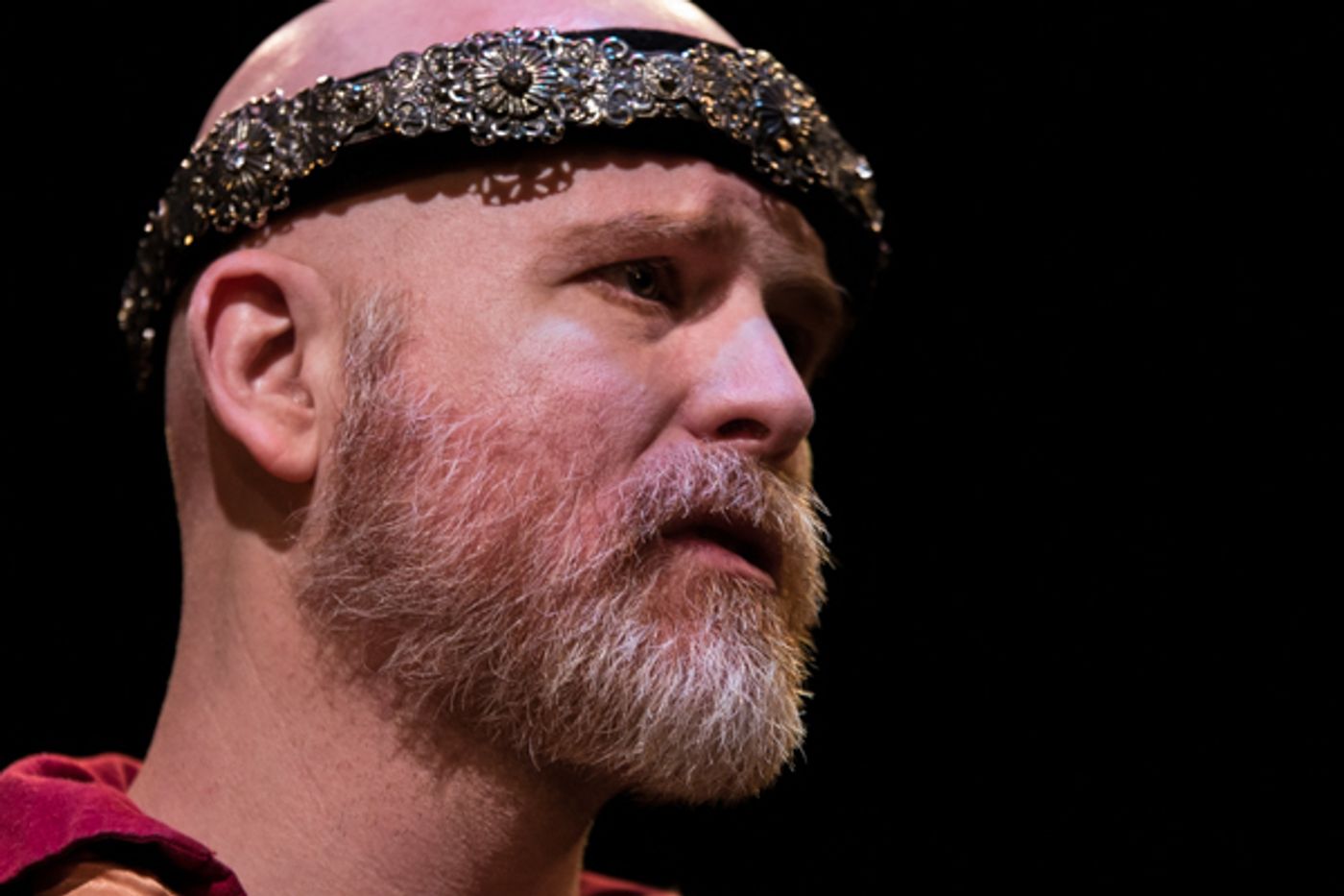 Photo Coverage: First Look at SRO's THE LION IN WINTER  Image