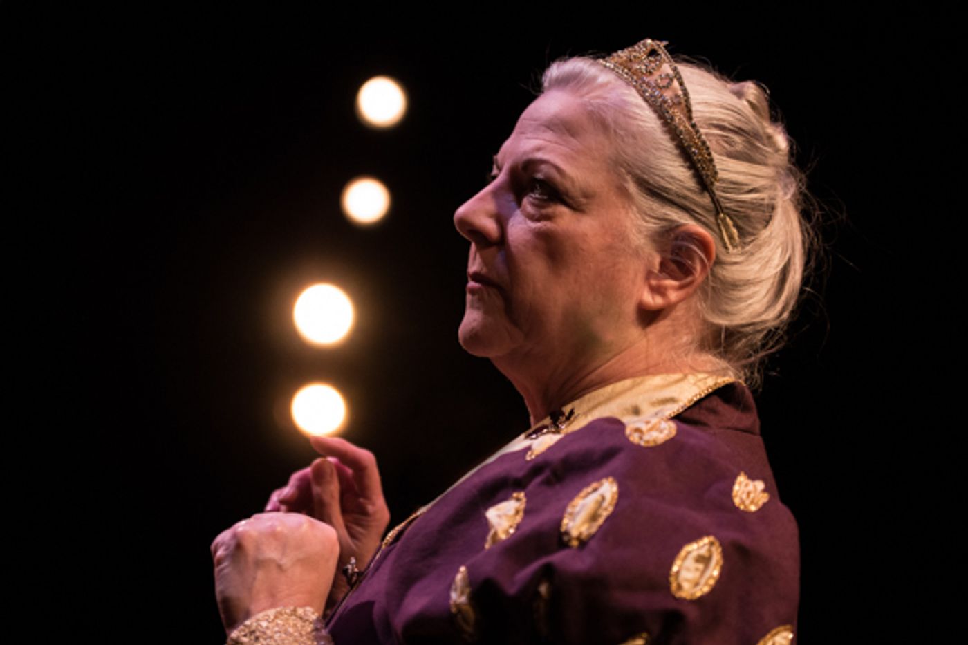 Photo Coverage: First Look at SRO's THE LION IN WINTER  Image