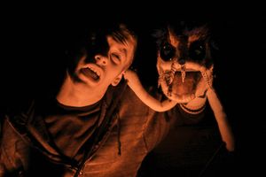 Joshua Daniel Palmer Photo