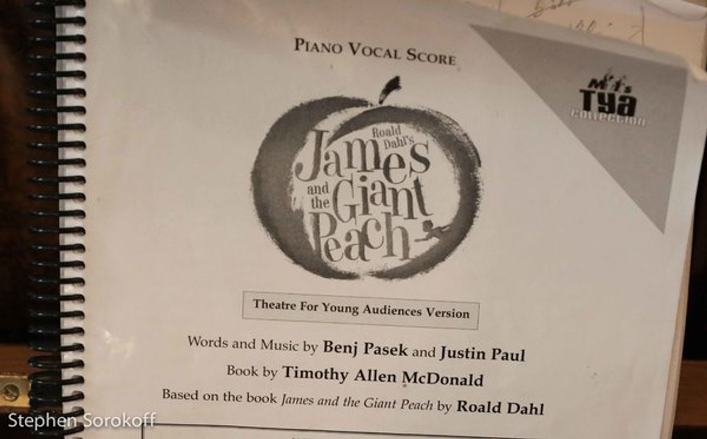Photo Coverage: Benj Pasek & Justin Paul's JAMES AND THE GIANT PEACH Presented by NiCori Studios  Image