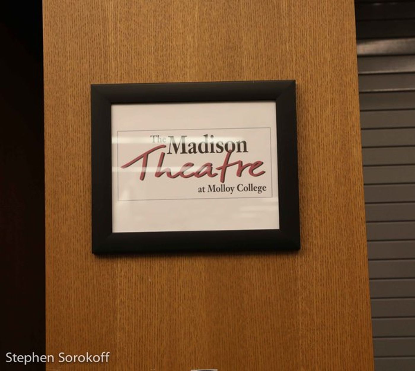 Photo Coverage: HAZEL Presented at The Madison Theatre at Molloy College  Image