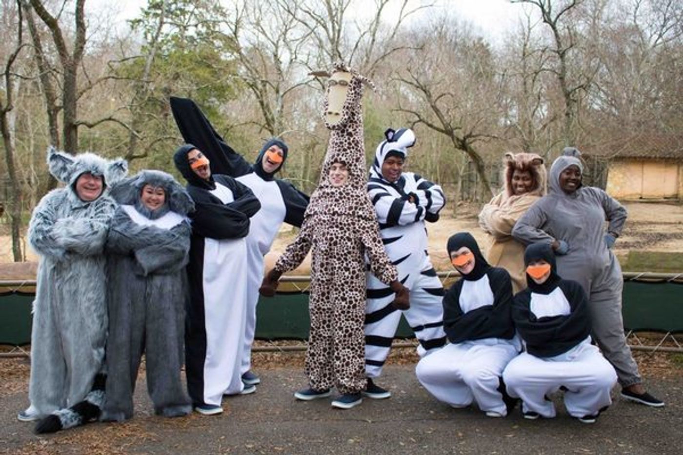 Photo Flash: Cast of MADAGASCAR Visits the Jackson Zoological Park!  Image