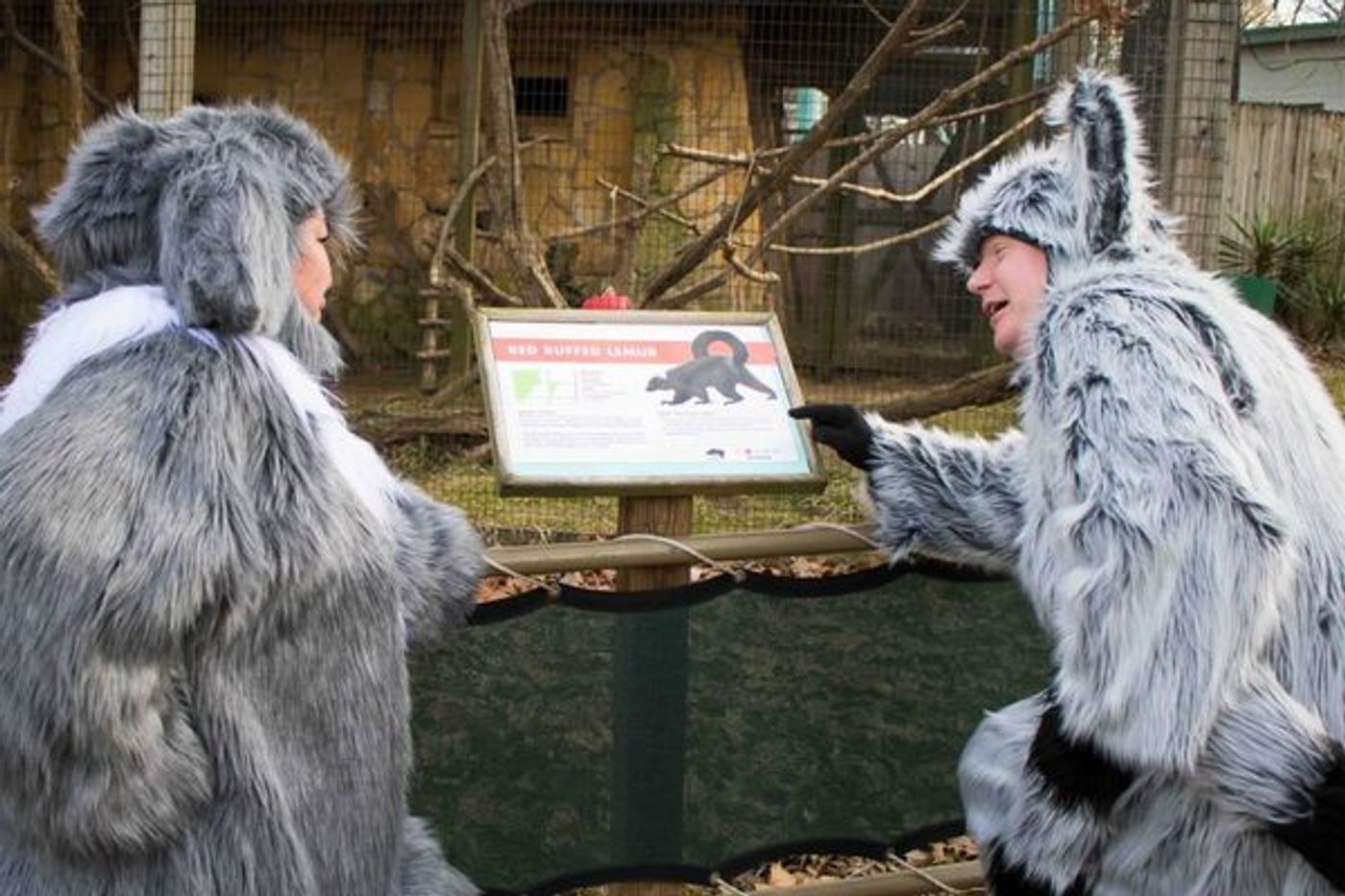 Photo Flash: Cast of MADAGASCAR Visits the Jackson Zoological Park!  Image