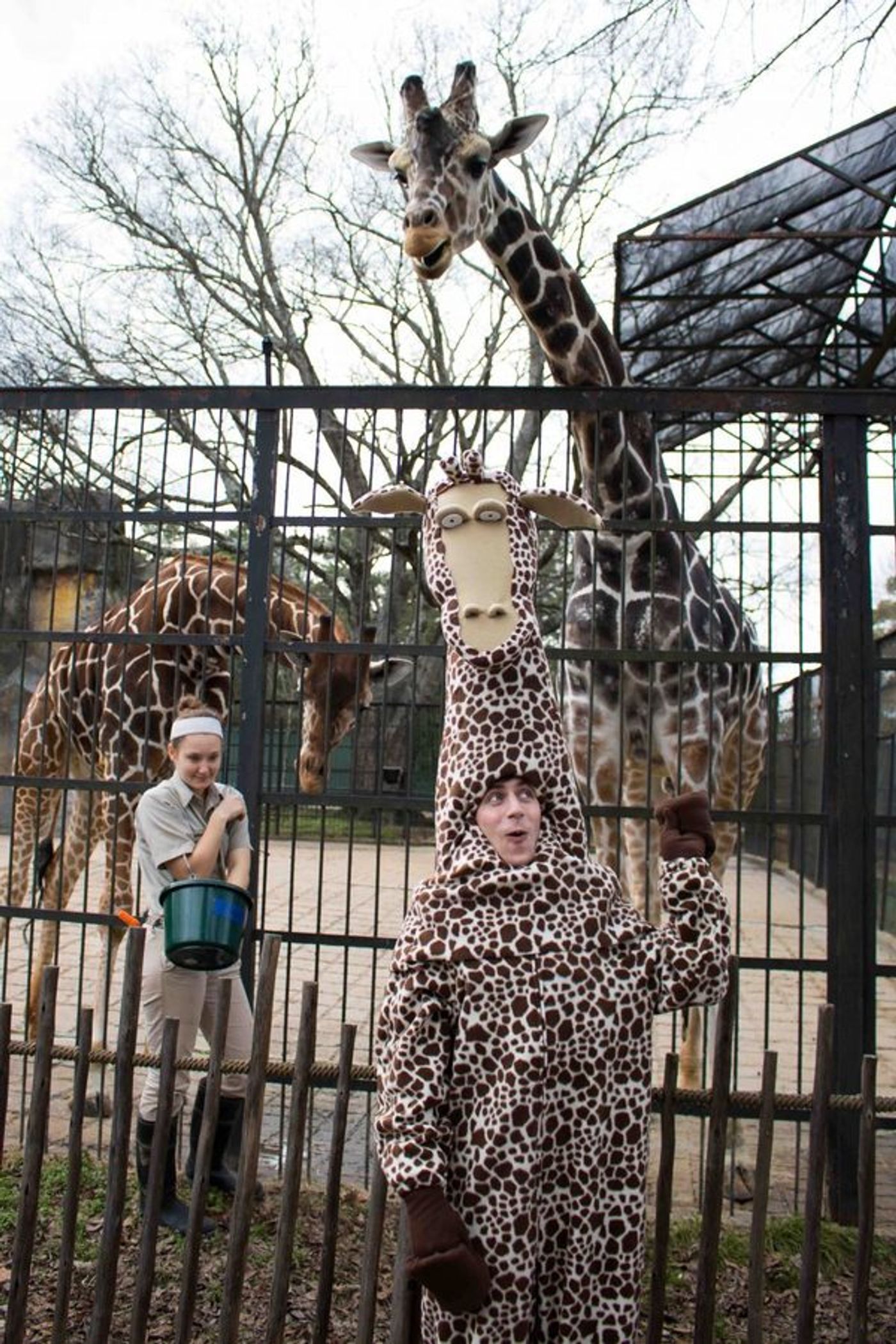 Photo Flash: Cast of MADAGASCAR Visits the Jackson Zoological Park!  Image