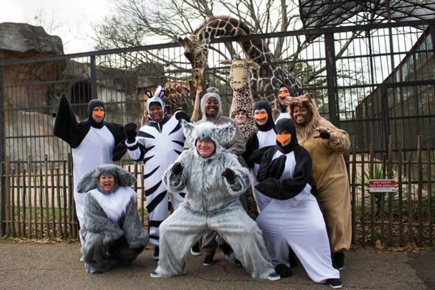 Photo Flash: Cast of MADAGASCAR Visits the Jackson Zoological Park!  Image