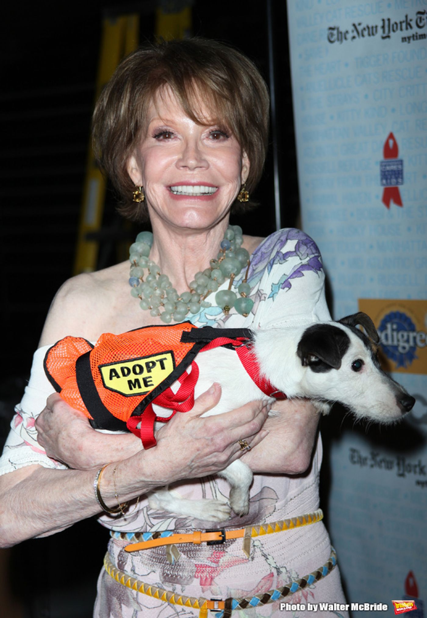 Photo Flash: Remembering Mary Tyler Moore  Image