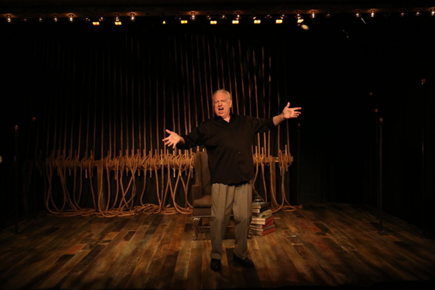 Photo Flash: GEORGIE: MY ADVENTURES WITH GEORGE ROSE, Starring Ed Dixon, Opens Tonight!  Image
