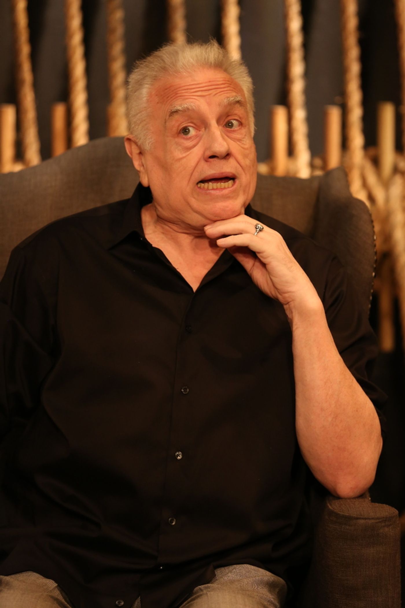 Photo Flash: GEORGIE: MY ADVENTURES WITH GEORGE ROSE, Starring Ed Dixon, Opens Tonight!  Image