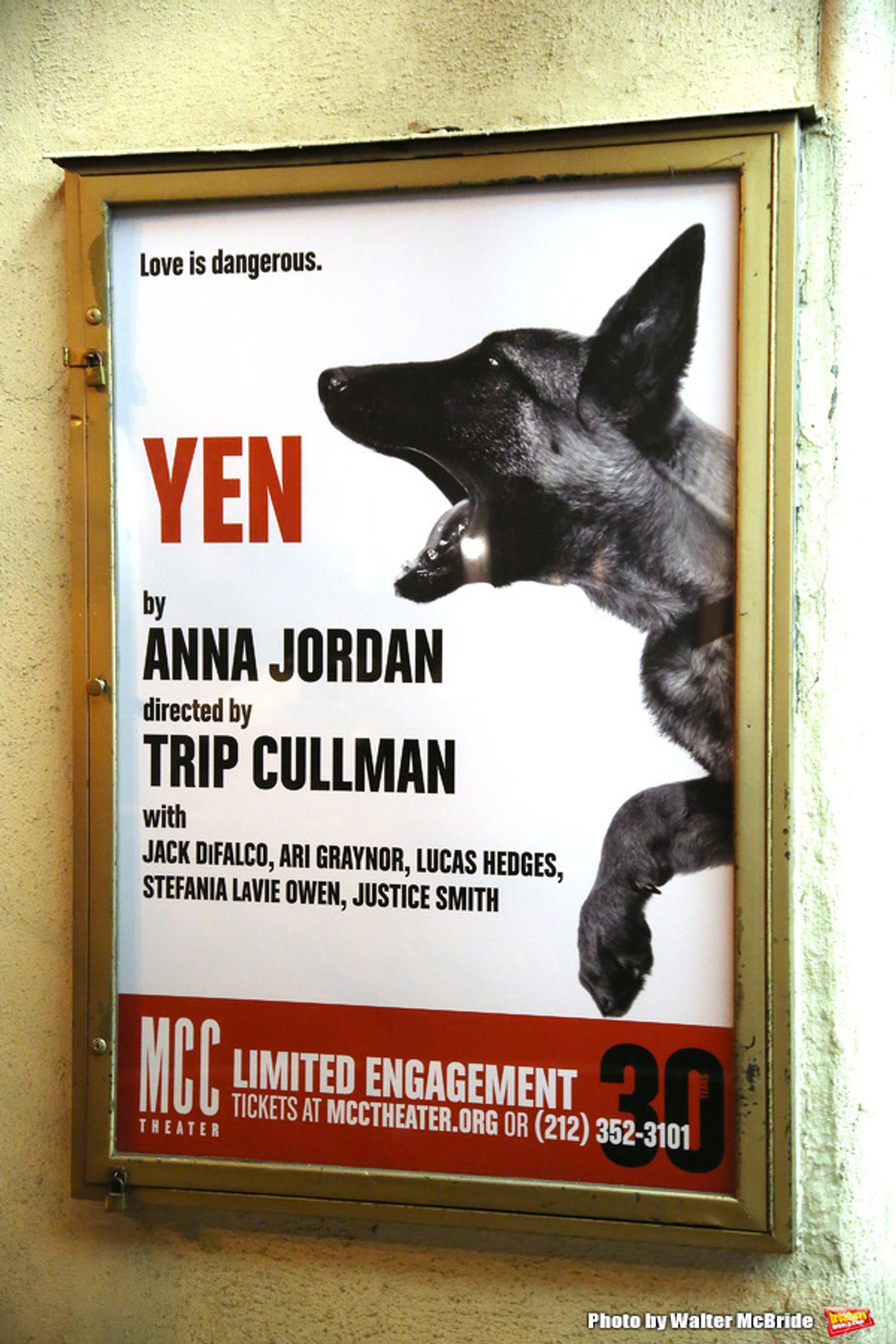 Photo Coverage: MCC's YEN Celebrates Opening Night  Image