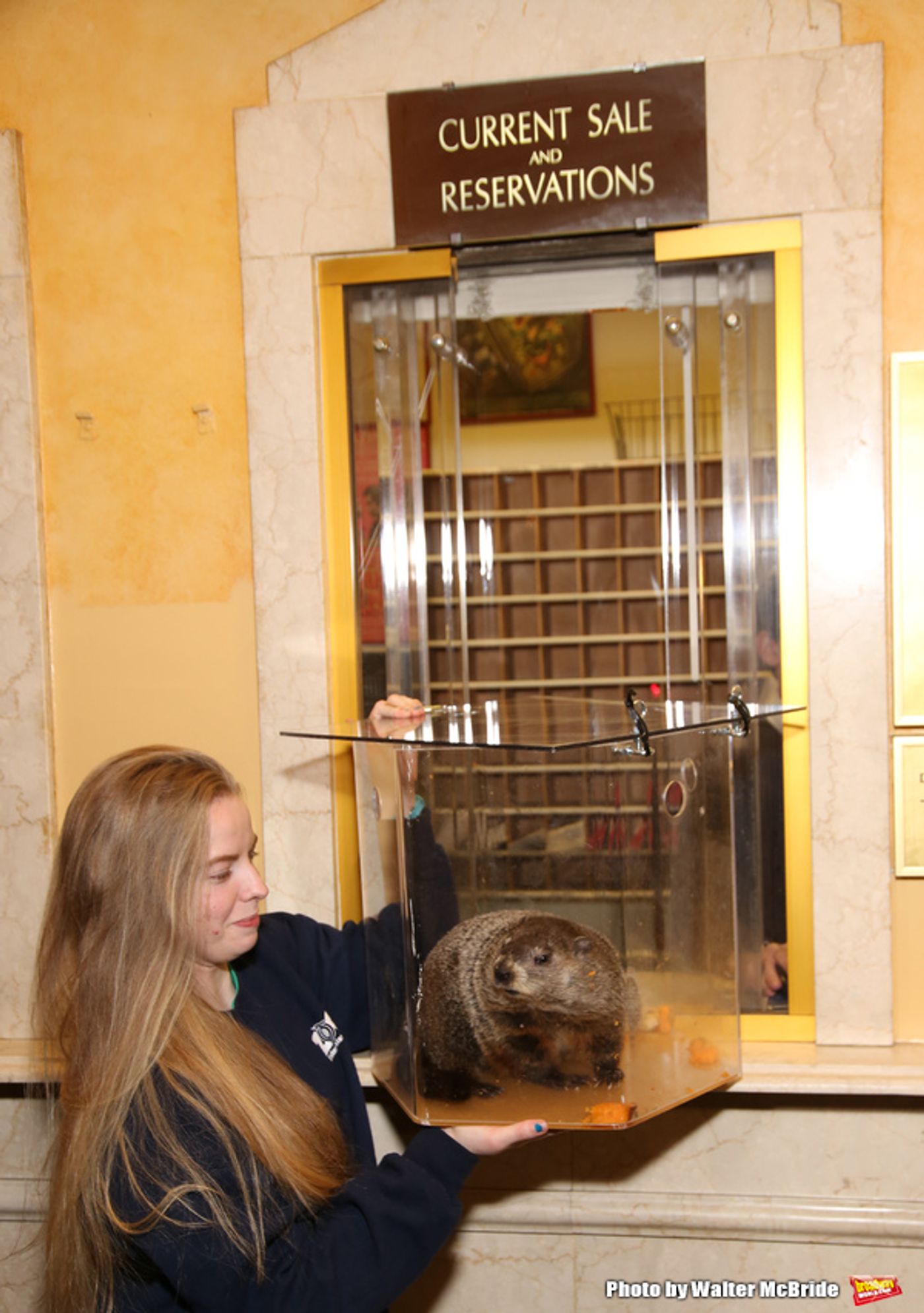 Photo Coverage: Staten Island Chuck Helps Andy Karl & GROUNDHOG DAY Company Open the Box Office!  Image