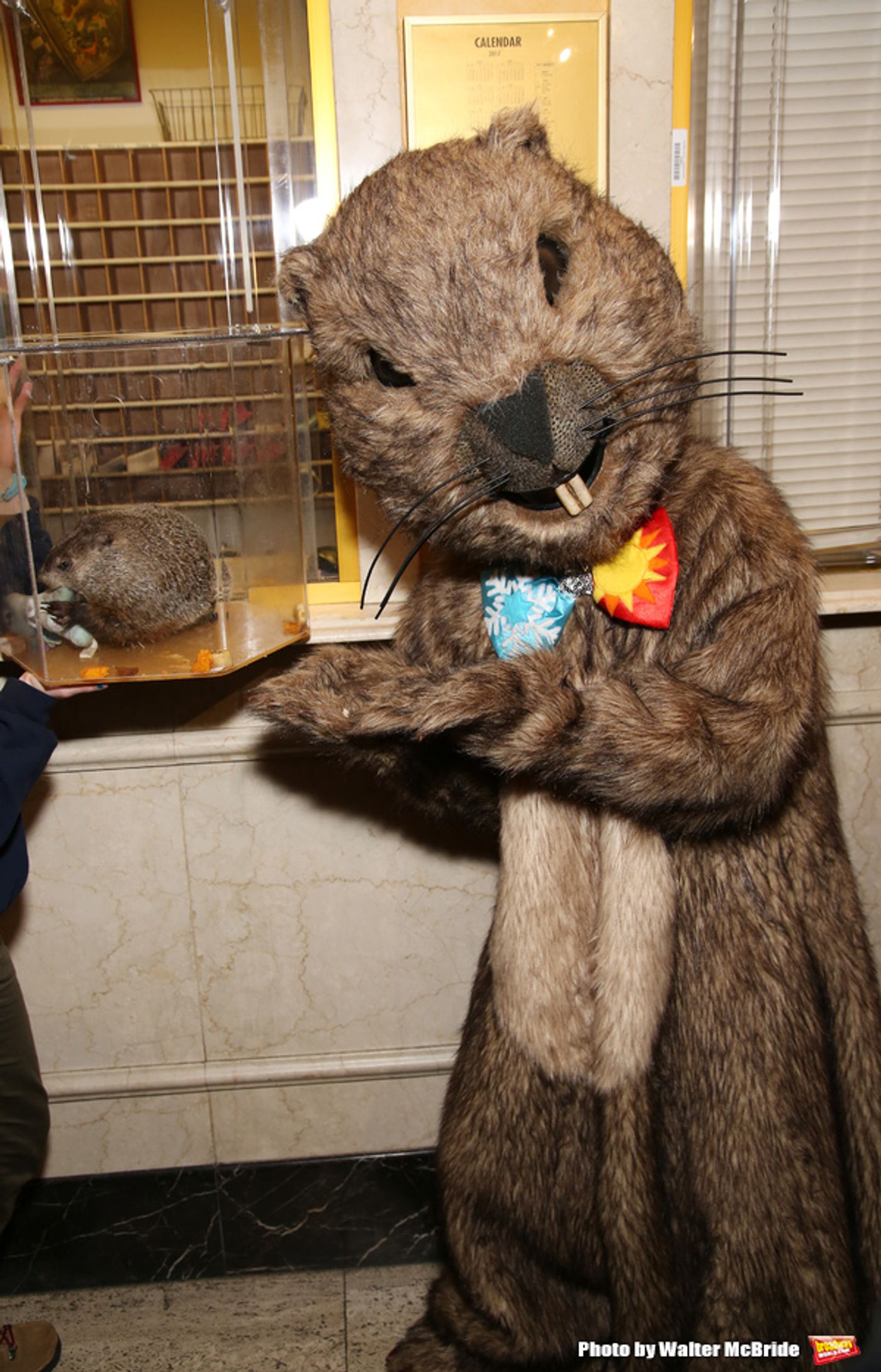 Photo Coverage: Staten Island Chuck Helps Andy Karl & GROUNDHOG DAY Company Open the Box Office!  Image