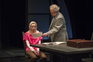 Susaan Jamshidi (Claire Fathi), Ross Lehman (Mark Arenberg) Photo