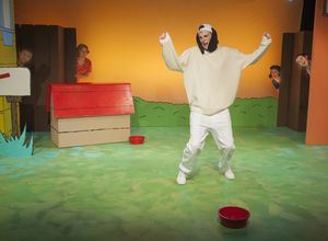 Brandon Santoro @ BroadwayWorld Brandon Santoro Photo