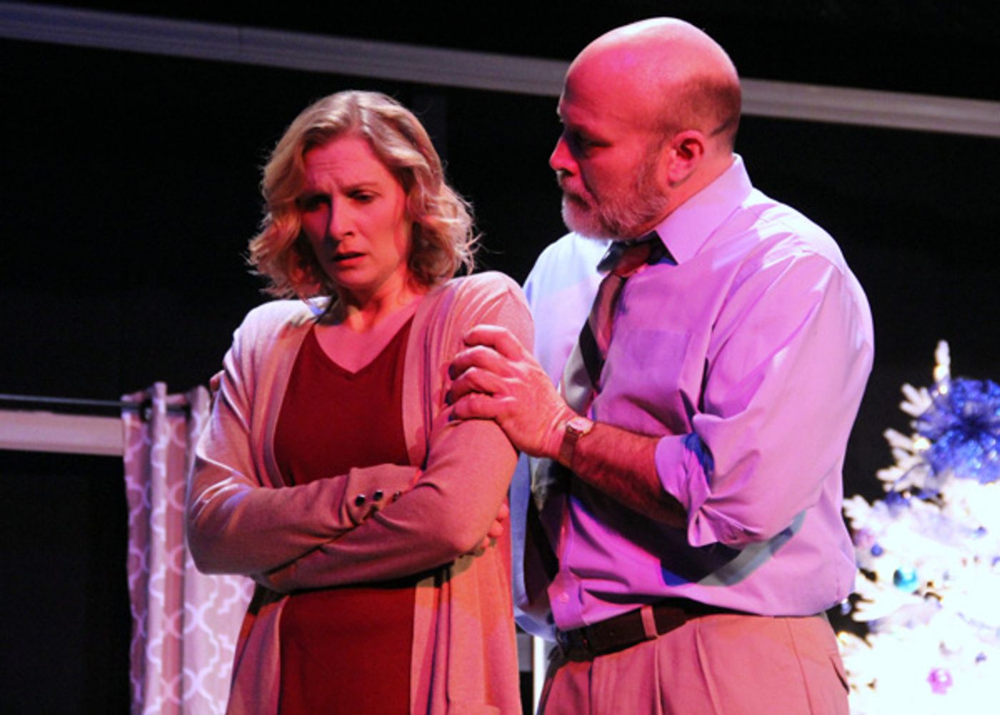 Photo Flash: First Look at Adult Drama OTHER DESERT CITIES at the Old Opera House  Image