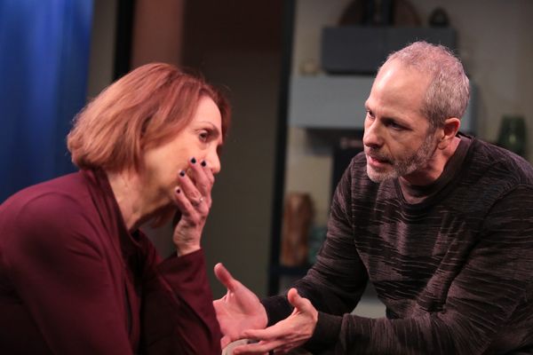 Linda Alper and Michael Mendelson Photo