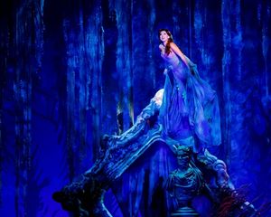 Ariel (Diana Huey) @ BroadwayWorld Ariel (Diana Huey) Photo