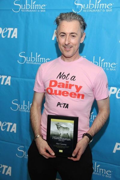 Alan Cumming Photo