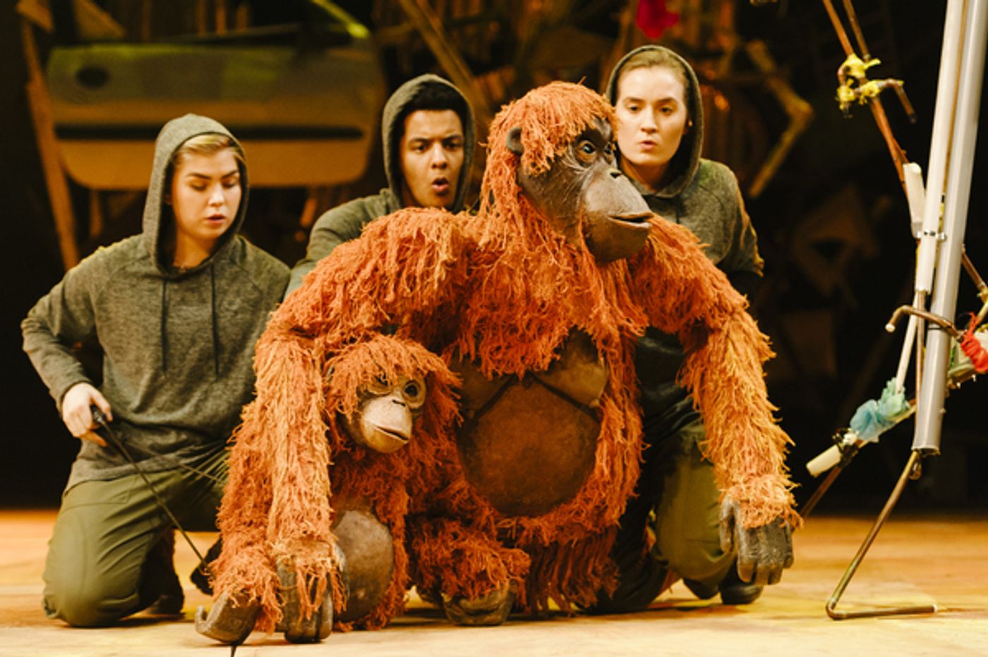 Photo Flash: First Look at Production Photos for the UK Tour of RUNNING WILD  Image