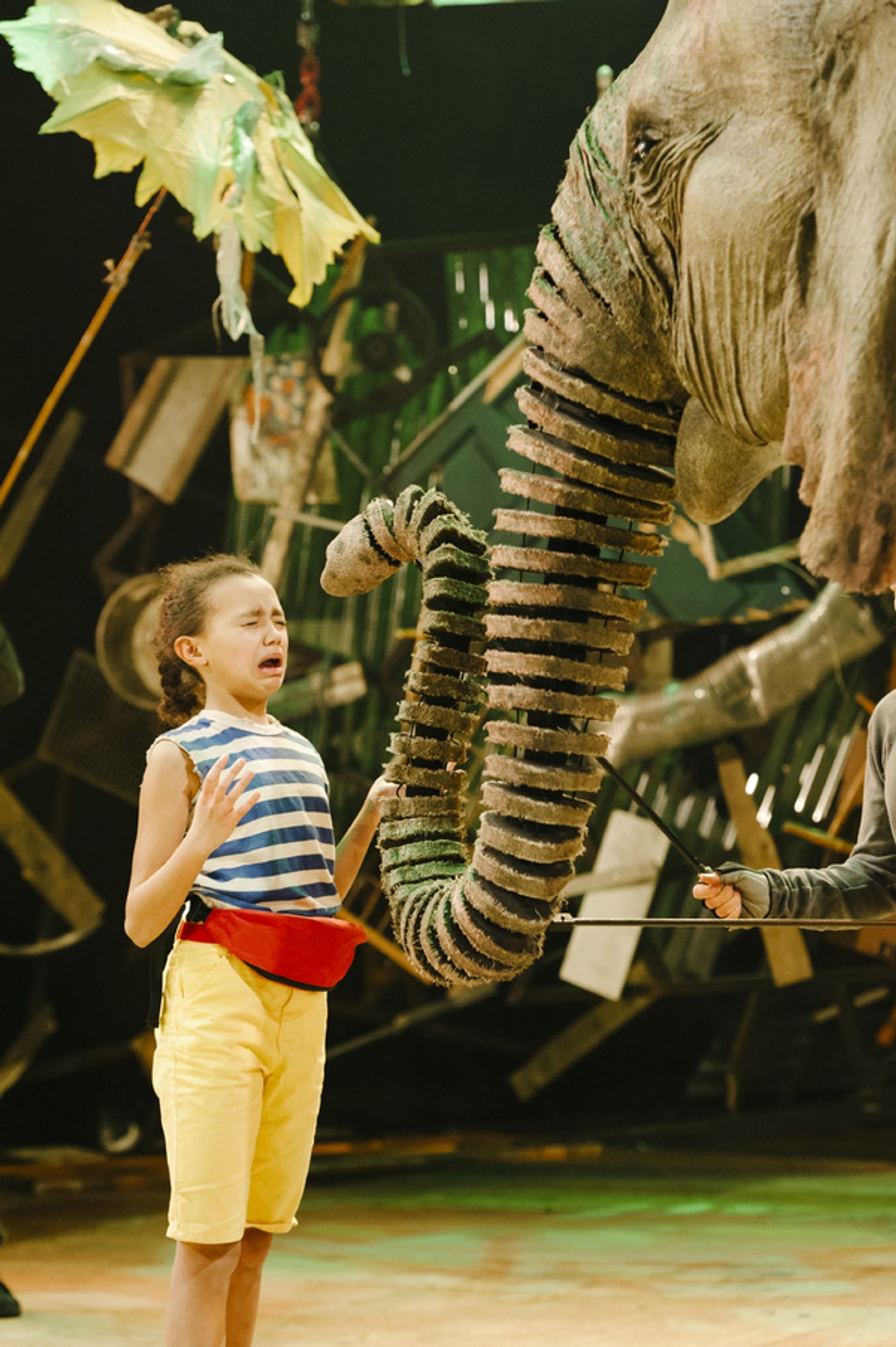 Photo Flash: First Look at Production Photos for the UK Tour of RUNNING WILD  Image