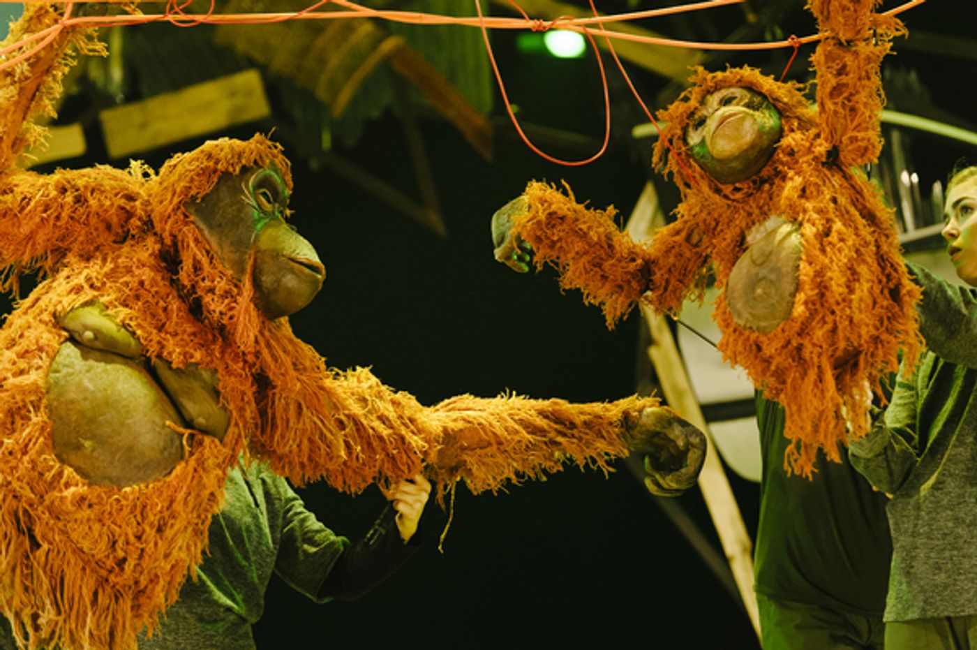 Photo Flash: First Look at Production Photos for the UK Tour of RUNNING WILD  Image