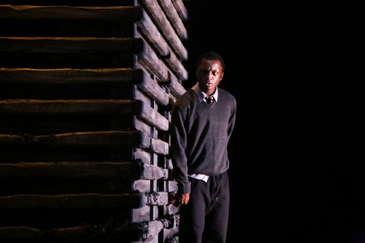 Photo Flash: GOOD DOG at the Watford Palace Theatre  Image