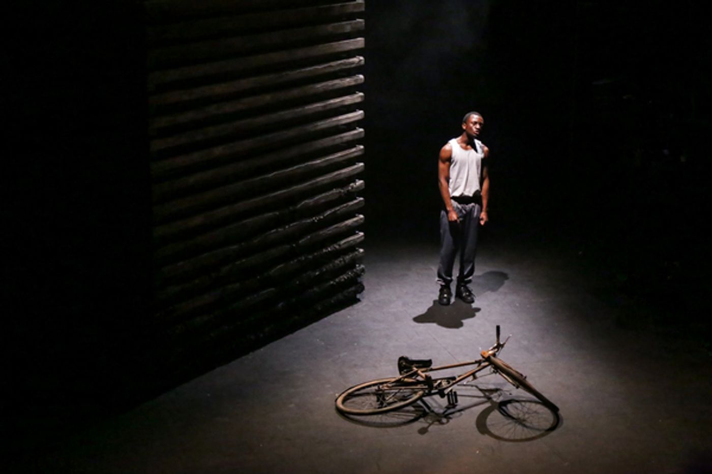 Photo Flash: GOOD DOG at the Watford Palace Theatre  Image