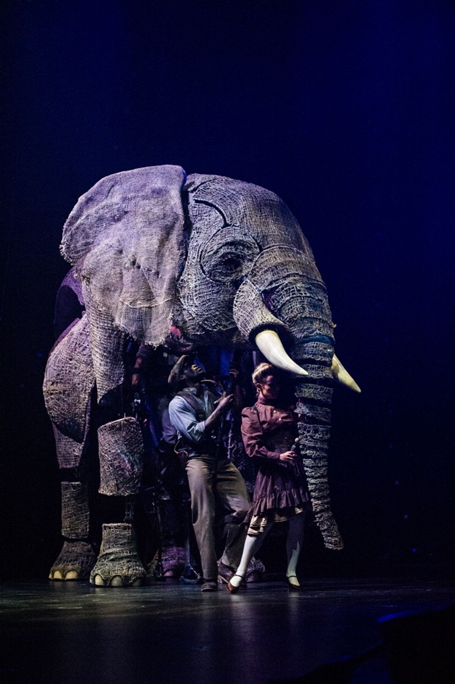 Review: CIRCUS 1903 Recreates the Golden Age of Circus at the Hollywood Pantages Image
