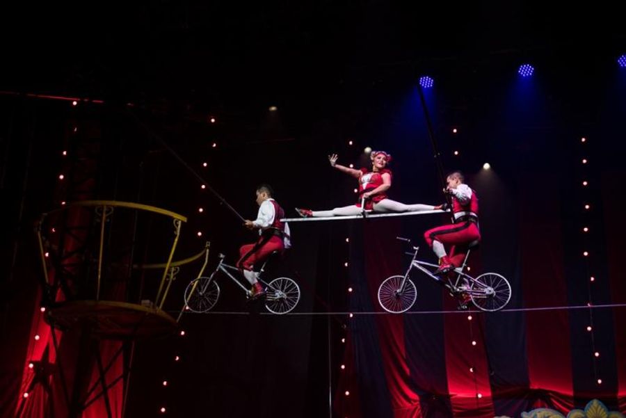 Review: CIRCUS 1903 Recreates the Golden Age of Circus at the Hollywood Pantages Image