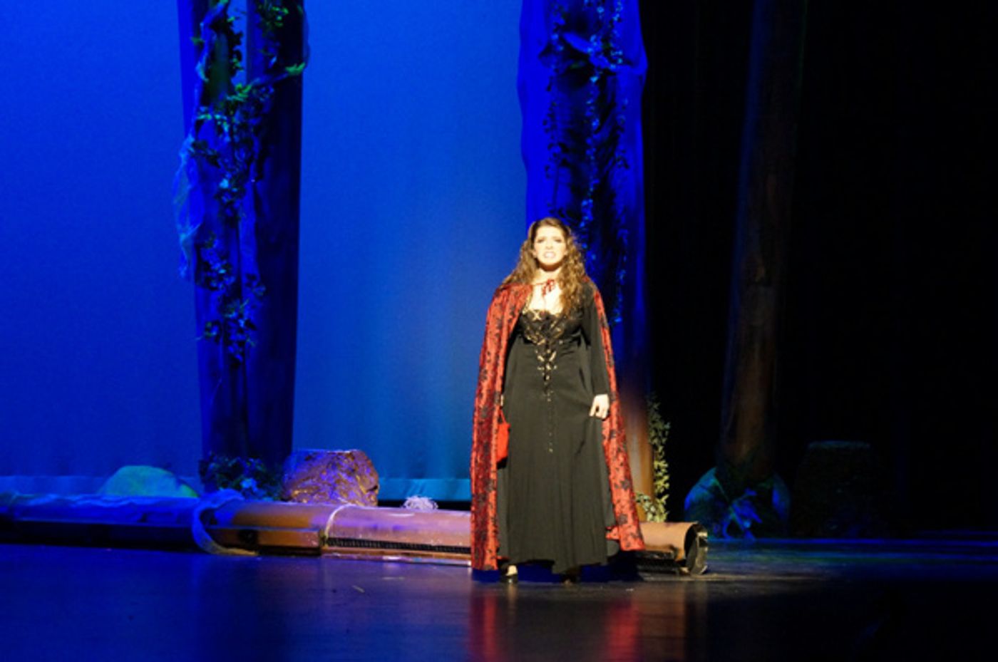 Photos and Footage: First Look at INTO THE WOODS at Briarcrest High School  Image