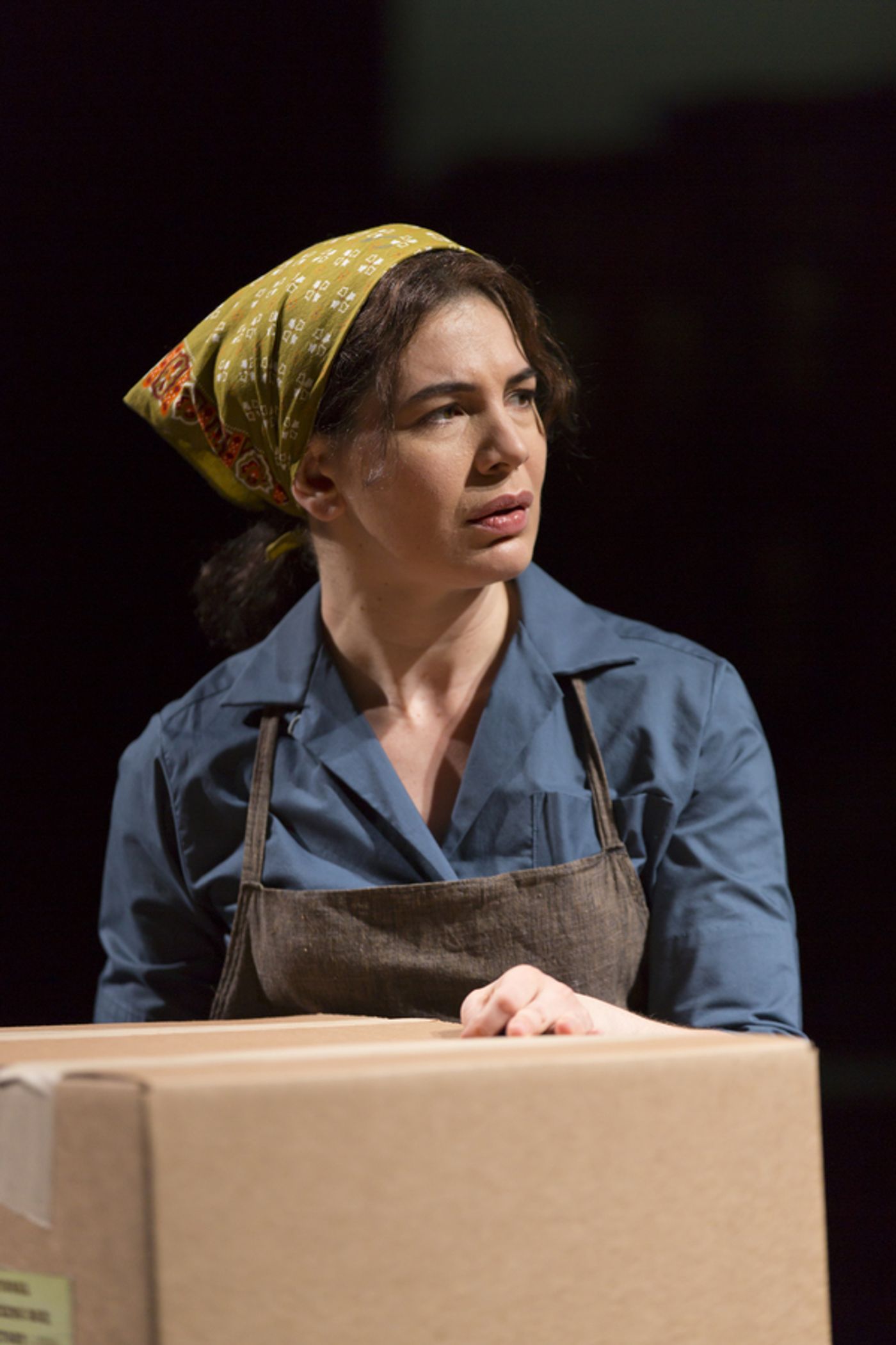 Photo Flash: First Look at NAPOLI, BROOKLYN World Premiere at Long Wharf Theatre  Image