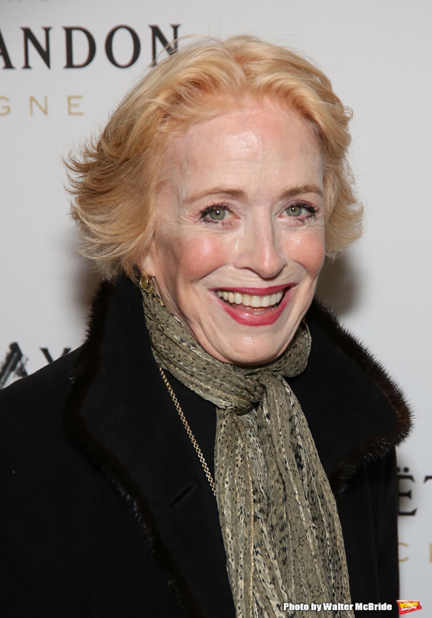 Photo Coverage: On the Opening Night Red Carpet for SUNDAY IN THE PARK WITH GEORGE  Image