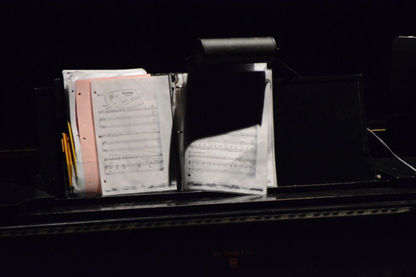 Photo Coverage: York Theatre Company Celebrates Opening Night of DEAR WORLD  Image