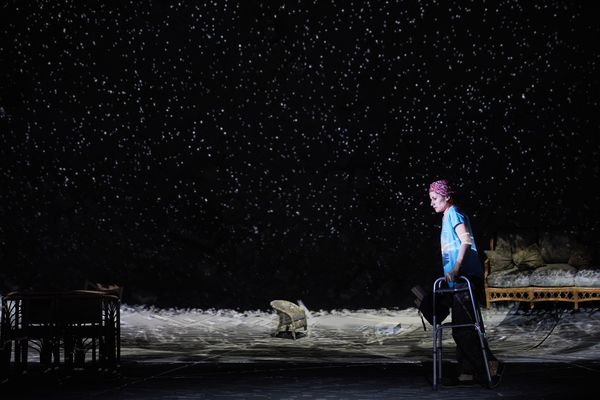 Kate Fleetwood Photo