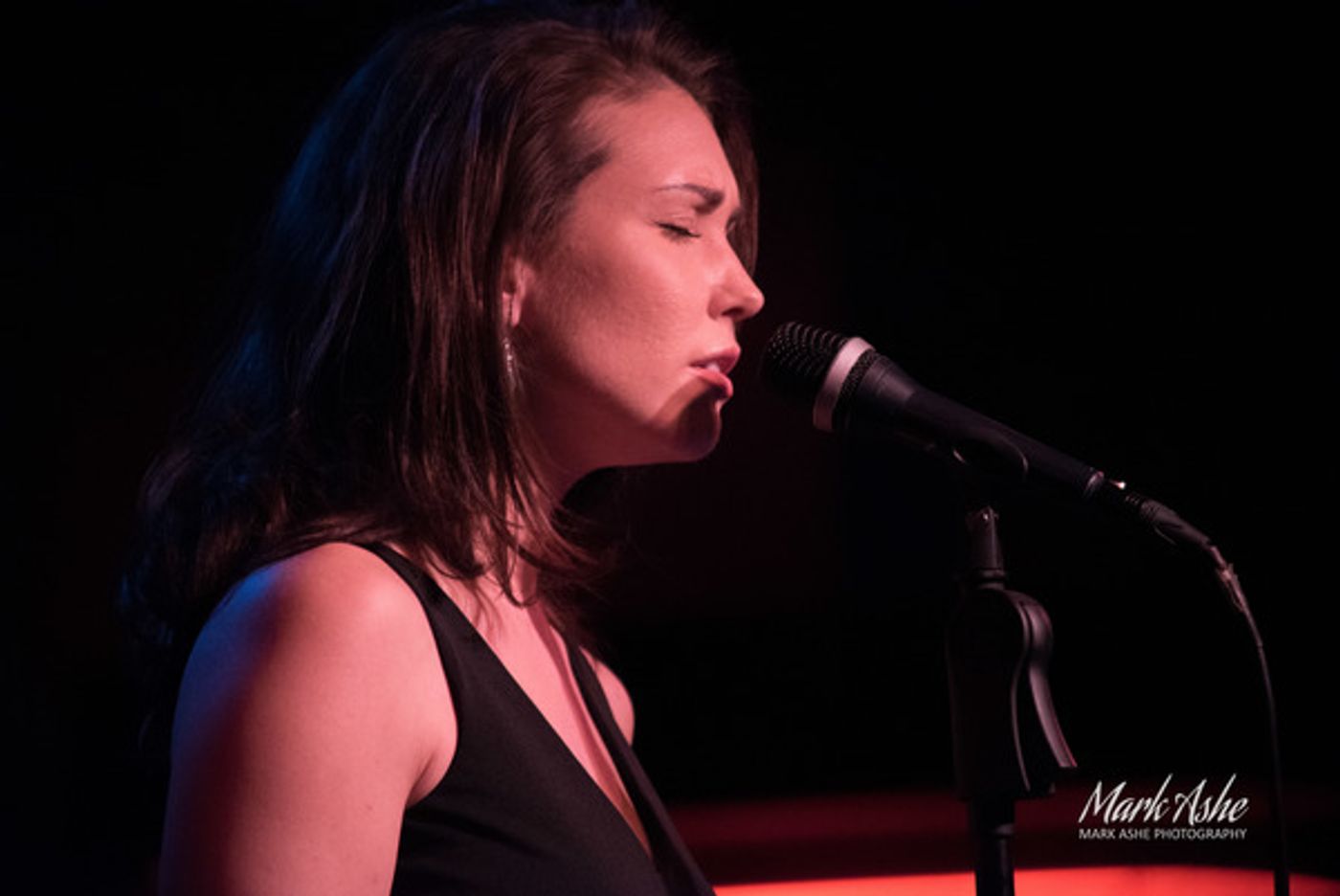 Photo Flash: Kara Lindsay and More Sing Michael Mott's Original Tunes at Birdland  Image