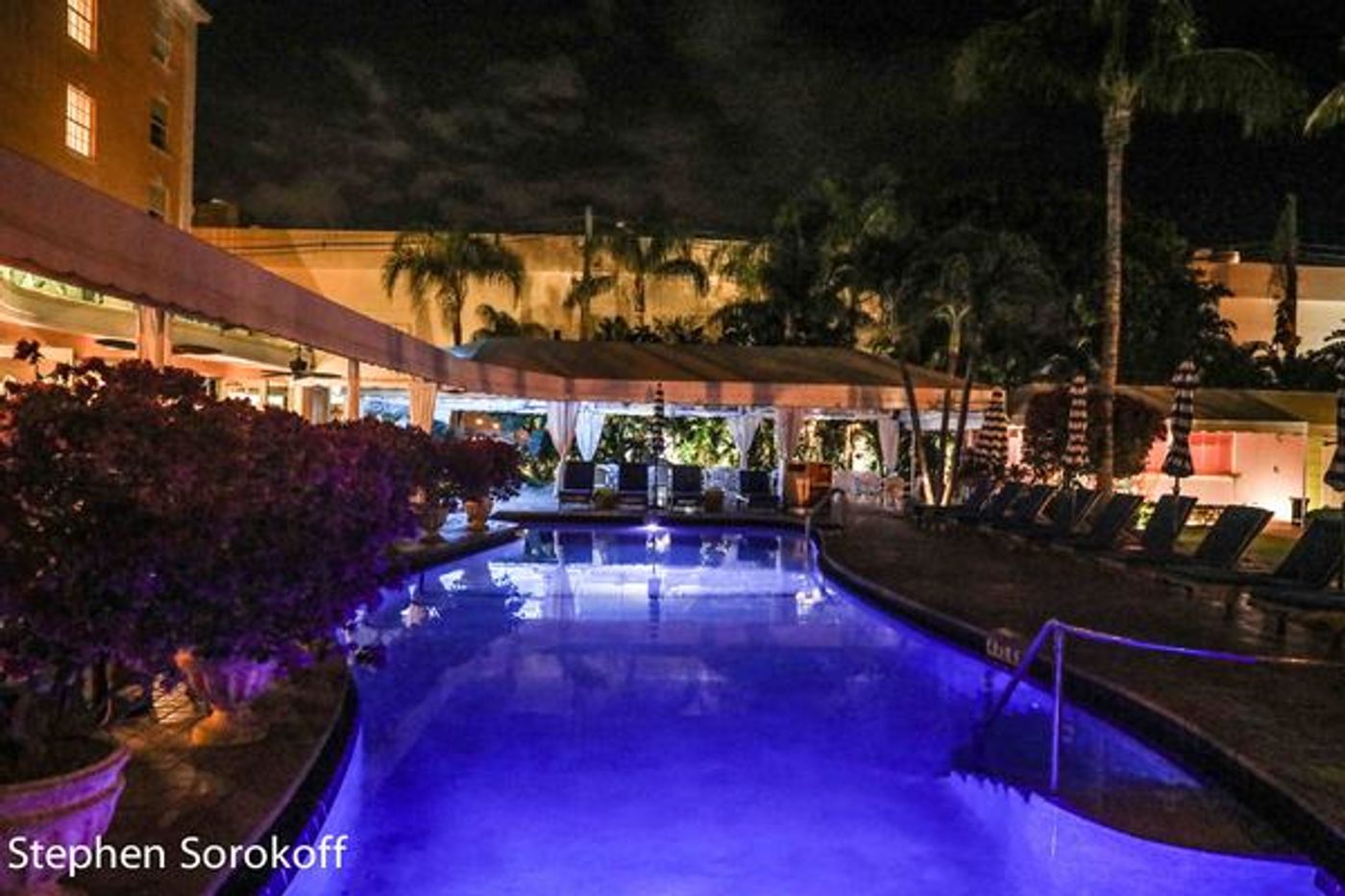 Photo Coverage: Christine Andreas brings SWELLIGANCE to The Colony Hotel's Royal Room  Image