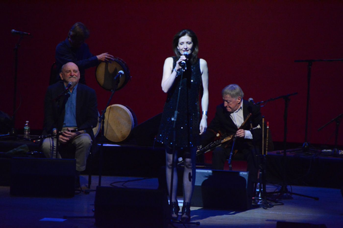Photo Coverage: The Chieftains Celebrate their 55th Anniversary at The Kupferberg Center  Image