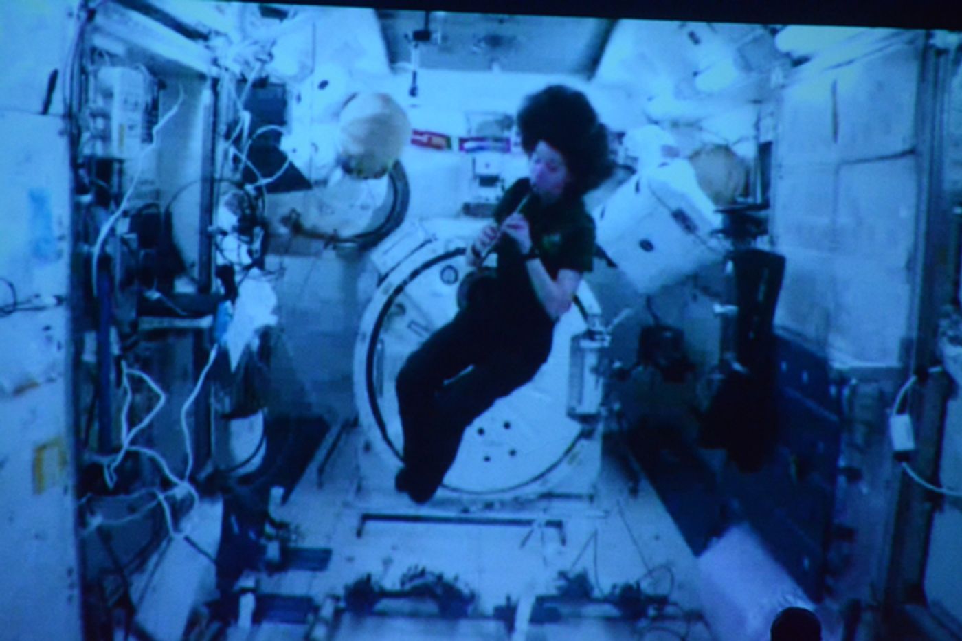 Photo Coverage: The Chieftains Celebrate their 55th Anniversary at The Kupferberg Center  Image