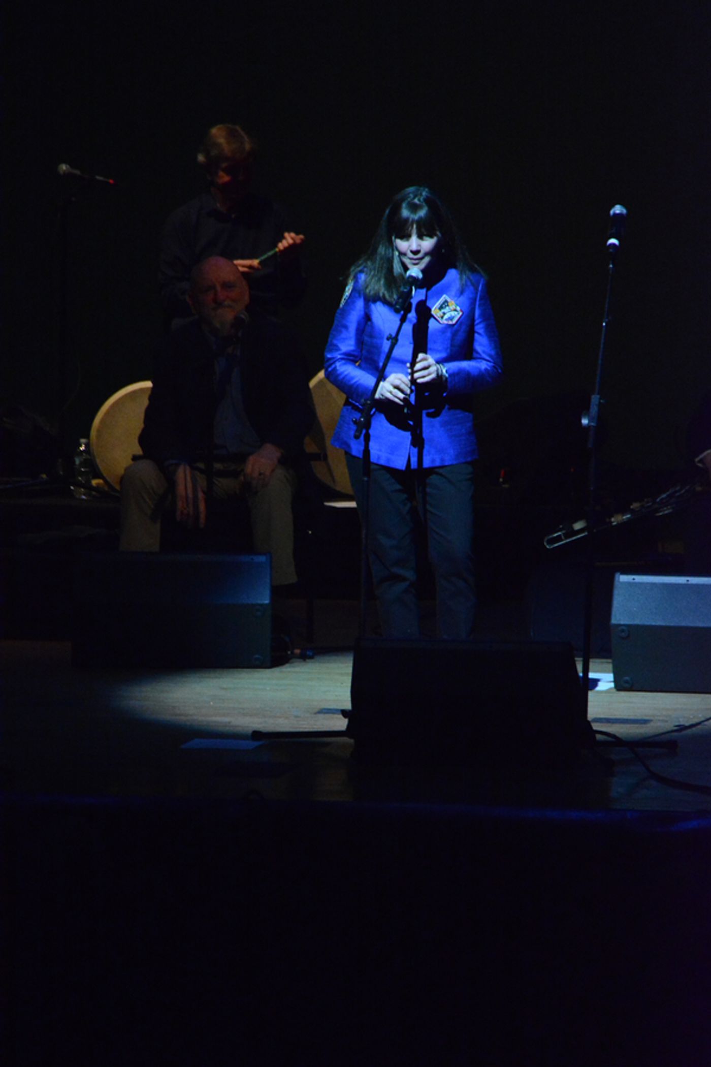 Photo Coverage: The Chieftains Celebrate their 55th Anniversary at The Kupferberg Center  Image