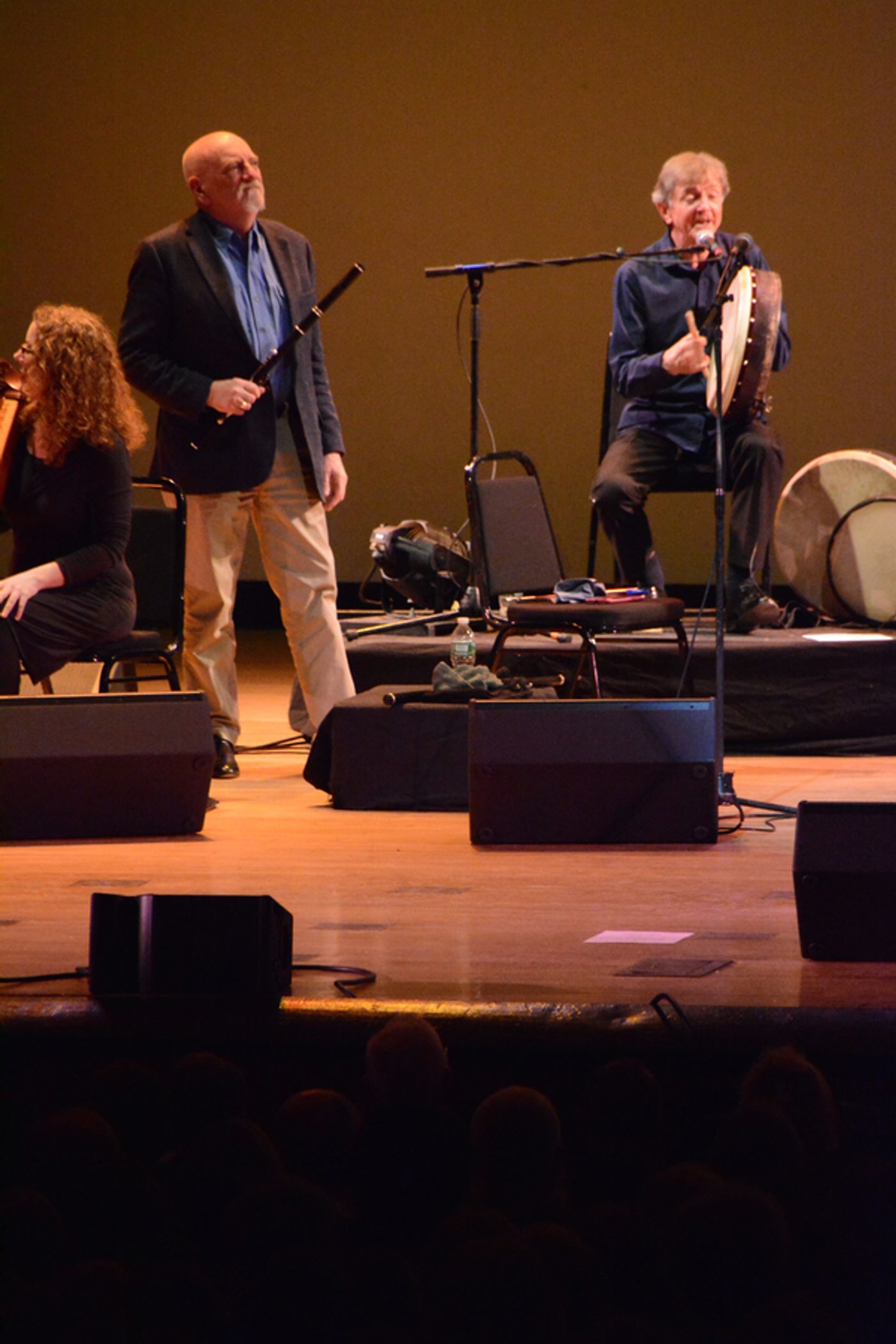 Photo Coverage: The Chieftains Celebrate their 55th Anniversary at The Kupferberg Center  Image