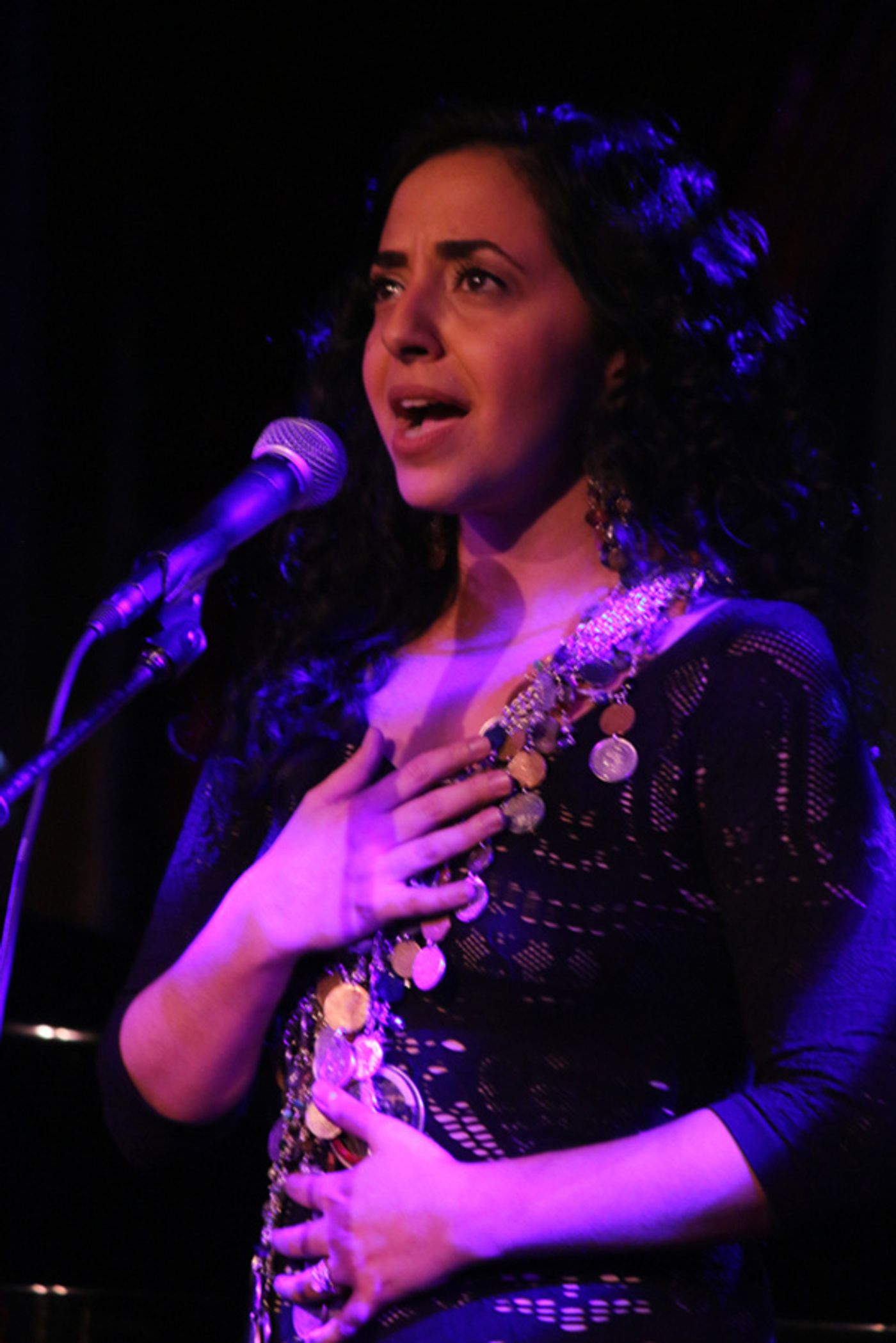 Photo Flash: Katrina Lenk, Lilli Cooper, Jennifer Sanchez and More Sing for Artists For World Peace  Image