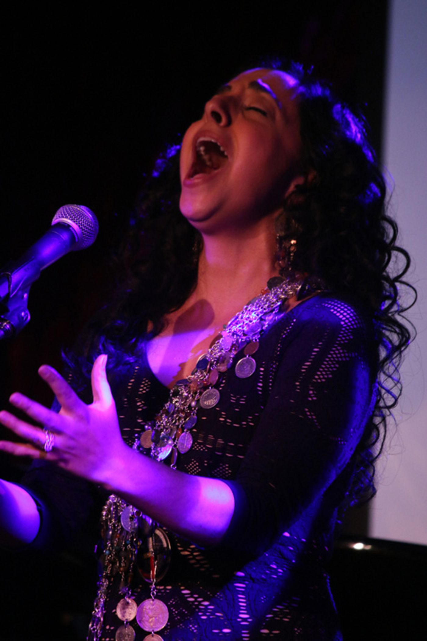 Photo Flash: Katrina Lenk, Lilli Cooper, Jennifer Sanchez and More Sing for Artists For World Peace  Image