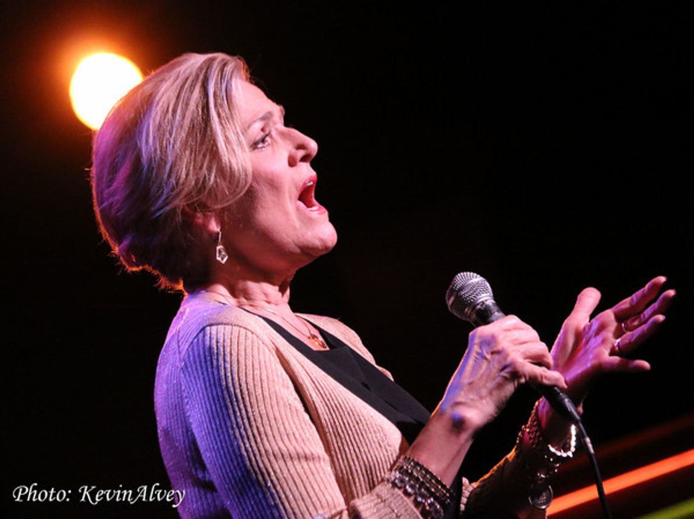 Photo Flash: Karen Mason Takes on Birdland and IT'S ABOUT TIME  Image
