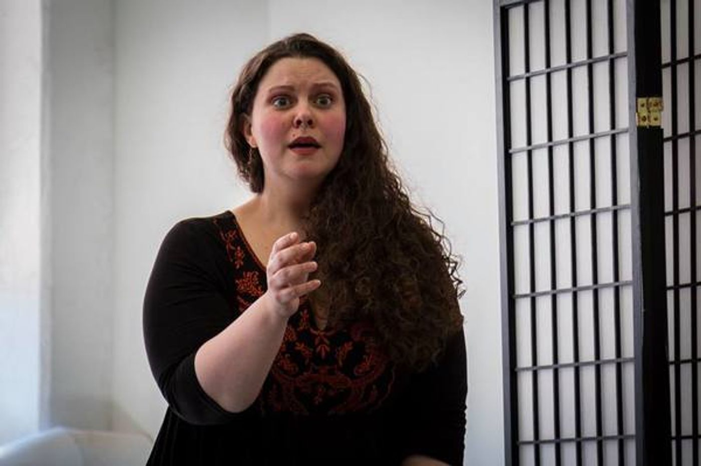 Photo Flash: Behind the Scenes in Rehearsal with Titan Theatre's TWELFTH NIGHT  Image